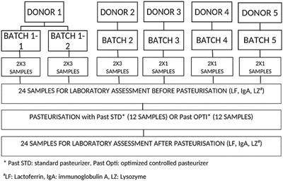 Better Control of Holder <mark class="highlighted">Pasteurization</mark> Results in Higher Retention of Human Milk Lactoferrin, IgA, and Lysozyme